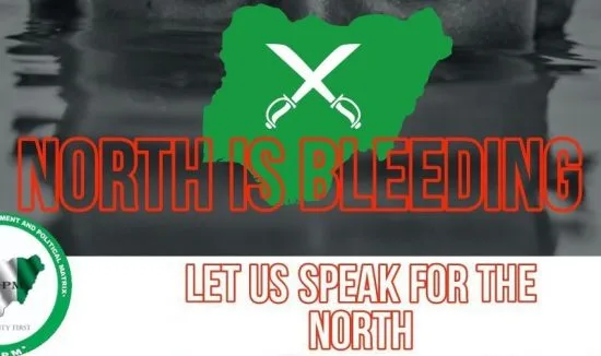 The North and the security challenges