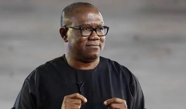 Peter Obi: A phenomenal ambassador