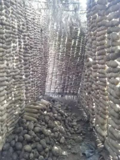Insecurity and the impending food crisis in Nigeria