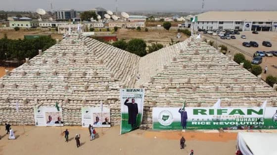 Rice pyramids in the midst of hunger