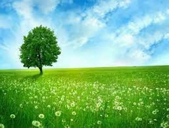 Living with nature